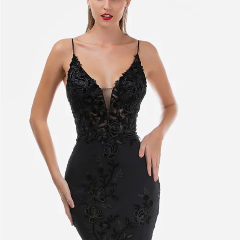 Nina Canacci formal dress
